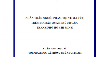 LUẬN ÁN TIẾN SĨ: NHÂN THÂN NGƯỜI PHẠM TỘI VỀ MA TÚY TRÊN ĐỊA BÀN QUẬN PHÚ NHUẬN, THÀNH PHỐ HỒ CHÍ MINH (TÁC GIẢ: TRẦN THỊ LIÊN)