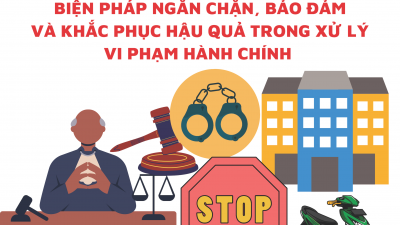 TỔNG HỢP 13 BẢN ÁN VỀ KHIẾU KIỆN QUYẾT ĐỊNH ÁP DỤNG BIỆN PHÁP NGĂN CHẶN, BẢO ĐẢM VÀ KHẮC PHỤC HẬU QUẢ TRONG XỬ LÝ VI PHẠM HÀNH CHÍNH