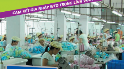CAM KẾT WTO VỀ DỆT MAY