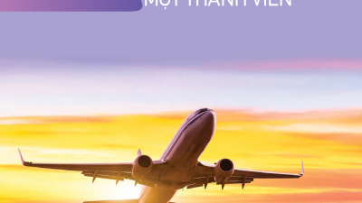 CẨM NANG HƯỚNG DẪN ĐĂNG KÝ DOANH NGHIỆP - CÔNG TY TNHH MTV