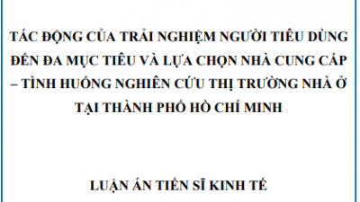 LUẬN ÁN TIẾN SĨ: TÁC ĐỘNG CỦA TRẢI NGHIỆM NGƯỜI TIÊU DÙNG ĐẾN ĐA MỤC TIÊU VÀ LỰA CHỌN NHÀ CUNG CẤP – TÌNH HUỐNG NGHIÊN CỨU THỊ TRƯỜNG NHÀ Ở TẠI THÀNH PHỐ HỒ CHÍ MINH
