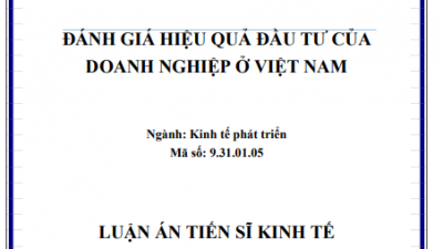 LUẬN ÁN TIẾN SĨ: Đánh giá hiệu quả Đầu tư của doanh nghiệp ở Việt Nam
