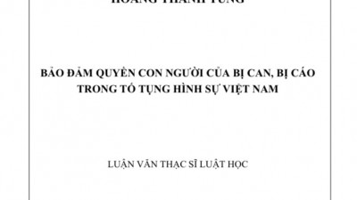 LUẬN VĂN THẠC SĨ: Bảo đảm quyền con người của bị can, bị cáo trong Tố tụng Hình sự Việt Nam