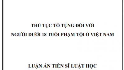 Luận án Tiến sĩ: Thủ tục tố tụng với người dưới 18 tuổi phạm tội ở Việt Nam