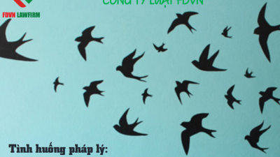 MỞ LOA DẪN DỤ CHIM YẾN NHƯ THẾ NÀO CHO HỢP LÝ?