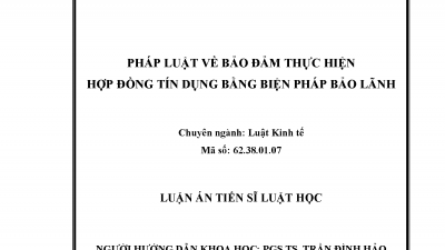 LUẬN ÁN TIẾN SĨ: PHÁP LUẬT VỀ BẢO ĐẢM THỰC HIỆN HỢP ĐỒNG TÍN DỤNG BẰNG BIỆN PHÁP BẢO ĐẢM (Tác giả: Phạm Văn Đàm)