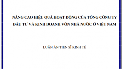Luận án Tiến sĩ: Nâng cao hiệu quả hoạt động của Tổng Công ty đầu tư và kinh doanh vốn nhà nước ở Việt Nam