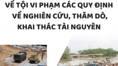 Tổng hợp 20 bản án về tội vi phạm quy định về nghiên cứu, thăm dò, khai thác tài nguyên