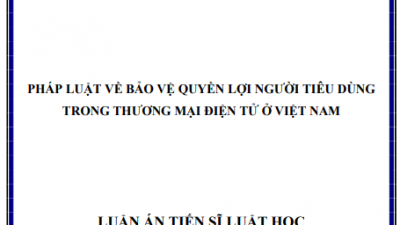 LUẬN ÁN TIẾN SĨ: Pháp luật về bảo vệ quyền lợi người tiêu dùng trong thương mại điện tử ở Việt Nam