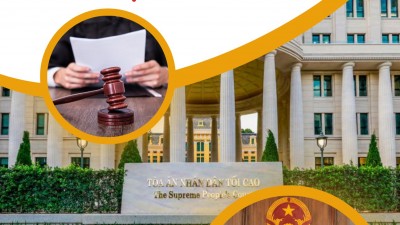 Tổng hợp 18 bản án hình sự về các trường hợp toà án tuyên trả tự do cho bị cáo tại phiên toà