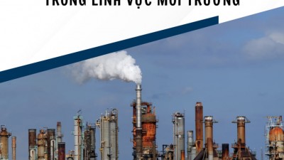 Tổng hợp bài báo pháp lý về trách nhiệm hình sự của pháp nhân trong lĩnh vực môi trường