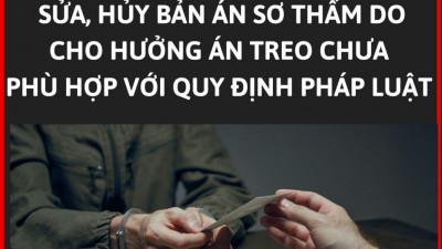 Tổng hợp 18 bản án sửa, hủy bản án sơ thẩm do áp dụng án treo chưa phù hợp với quy định pháp luật
