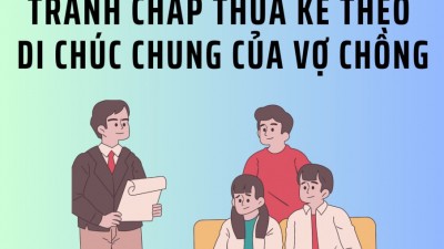 Tổng hợp 15 bản án về tranh chấp thừa kế theo di chúc chung của vợ chồng