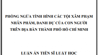 PHÒNG NGỪA TÌNH HÌNH CÁC TỘI XÂM PHẠM NHÂN PHẨM, DANH DỰ CỦA CON NGƯỜI TRÊN ĐỊA BÀN THÀNH PHỐ HỒ CHÍ MINH