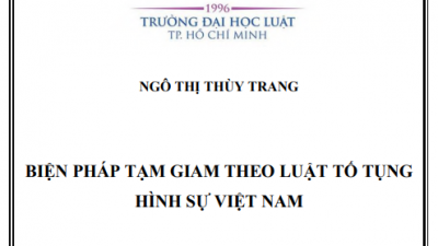 BIỆN PHÁP TẠM GIAM THEO LUẬT TỐ TỤNG HÌNH SỰ VIỆT NAM