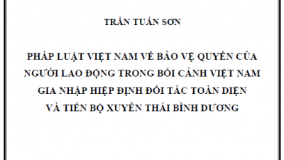 LUẬN ÁN TIẾN SĨ: PHÁP LUẬT VIỆT NAM VỀ BẢO VỆ QUYỀN CỦA NGƯỜI LAO ĐỘNG TRONG BỐI CẢNH VIỆT NAM GIA NHẬP HIỆP ĐỊNH ĐỐI TÁC TOÀN DIỆN VÀ TIẾN BỘ XUYÊN THÁI BÌNH DƯƠNG