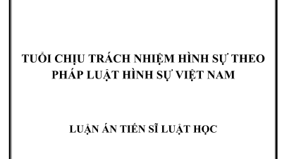 LUẬN ÁN TIẾN SĨ: TUỔI CHỊU TRÁCH NHIỆM HÌNH SỰ THEO PHÁP LUẬT HÌNH SỰ VIỆT NAM