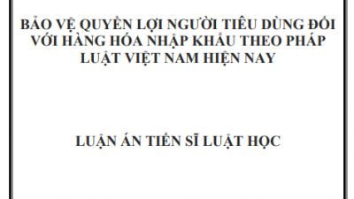 LUẬN ÁN TIẾN SĨ: BẢO VỆ QUYỀN LỢI NGƯỜI TIÊU DÙNG ĐỐI VỚI HÀNG HÓA NHẬP KHẨU THEO PHÁP LUẬT VIỆT NAM HIỆN NAY 