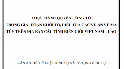 LUẬN ÁN TIẾN SĨ: THỰC HÀNH QUYỀN CÔNG TỐ TRONG GIAI ĐOẠN KHỞI TỐ, ĐIỀU TRA CÁC VỤ ÁN VỀ MA TÚY TRÊN ĐỊA BÀN CÁC TỈNH BIÊN GIỚI VIỆT NAM – LÀO