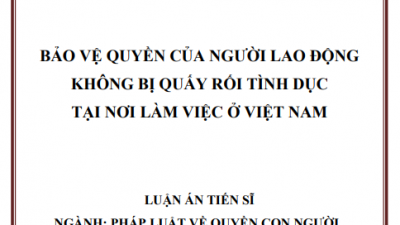 BẢO VỆ QUYỀN CỦA NGƯỜI LAO ĐỘNG KHÔNG BỊ QUẤY RỐI TÌNH DỤC TẠI NƠI LÀM VIỆC Ở VIỆT NAM