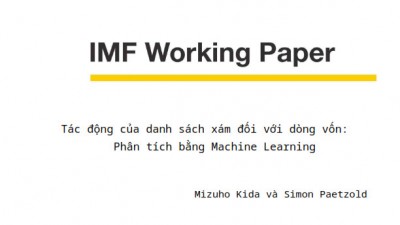 Tác động của danh sách xám đối với dòng vốn: Phân tích bằng Machine Learning