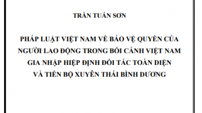 LUẬN VĂN THẠC SĨ: PHÁP LUẬT VIỆT NAM VỀ BẢO VỆ QUYỀN CỦA NGƯỜI LAO ĐỘNG TRONG BỐI CẢNH VIỆT NAM GIA NHẬP HIỆP ĐỊNH ĐỐI TÁC TOÀN DIỆN VÀ TIẾN BỘ XUYÊN THÁI BÌNH DƯƠNG
