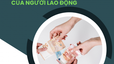 Tổng hợp 09 bài báo pháp lý về bồi thường chi phí đào tạo của người lao động