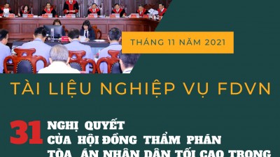 TỔNG HỢP 31 NGHỊ QUYẾT CỦA HỘI ĐỒNG THẨM PHÁN TOÀ ÁN NHÂN DÂN TỐI CAO TRONG LĨNH VỰC HÌNH SỰ, TỐ TỤNG HÌNH SỰ (TỪ NĂM 1986 ĐẾN THÁNG 11 NĂM 2021)