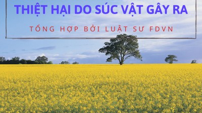 TỔNG HỢP 10 BẢN ÁN VỀ TRANH CHẤP BỒI THƯỜNG THIỆT HẠI DO SÚC VẬT GÂY RA