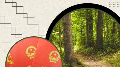 TỔNG HỢP 20 BẢN ÁN TRANH CHẤP QUYỀN SỬ DỤNG ĐẤT LÂM NGHIỆP