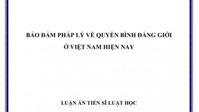 LUẬN ÁN TIẾN SĨ: Bảo đảm pháp lý về quyền bình đẳng giới ở Việt Nam hiện nay