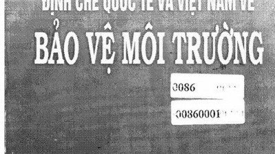 ĐỊNH CHẾ QUỐC TẾ VÀ VIỆT NAM VỀ BẢO VỆ MÔI TRƯỜNG